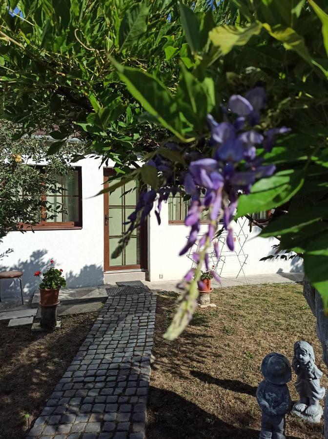 Courtyard Studio Oradea Exterior photo